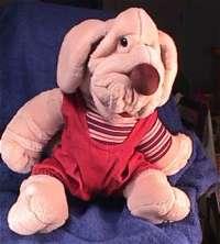 wrinkles dog teddy bear